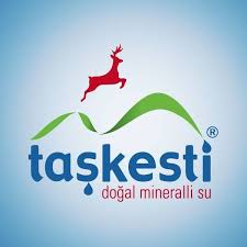 Taşkesti Su